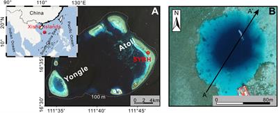 Deep submerged speleothems in the Sansha Yongle Blue Hole (South China Sea) as determination of low sea levels during the Last Glacial Maximum